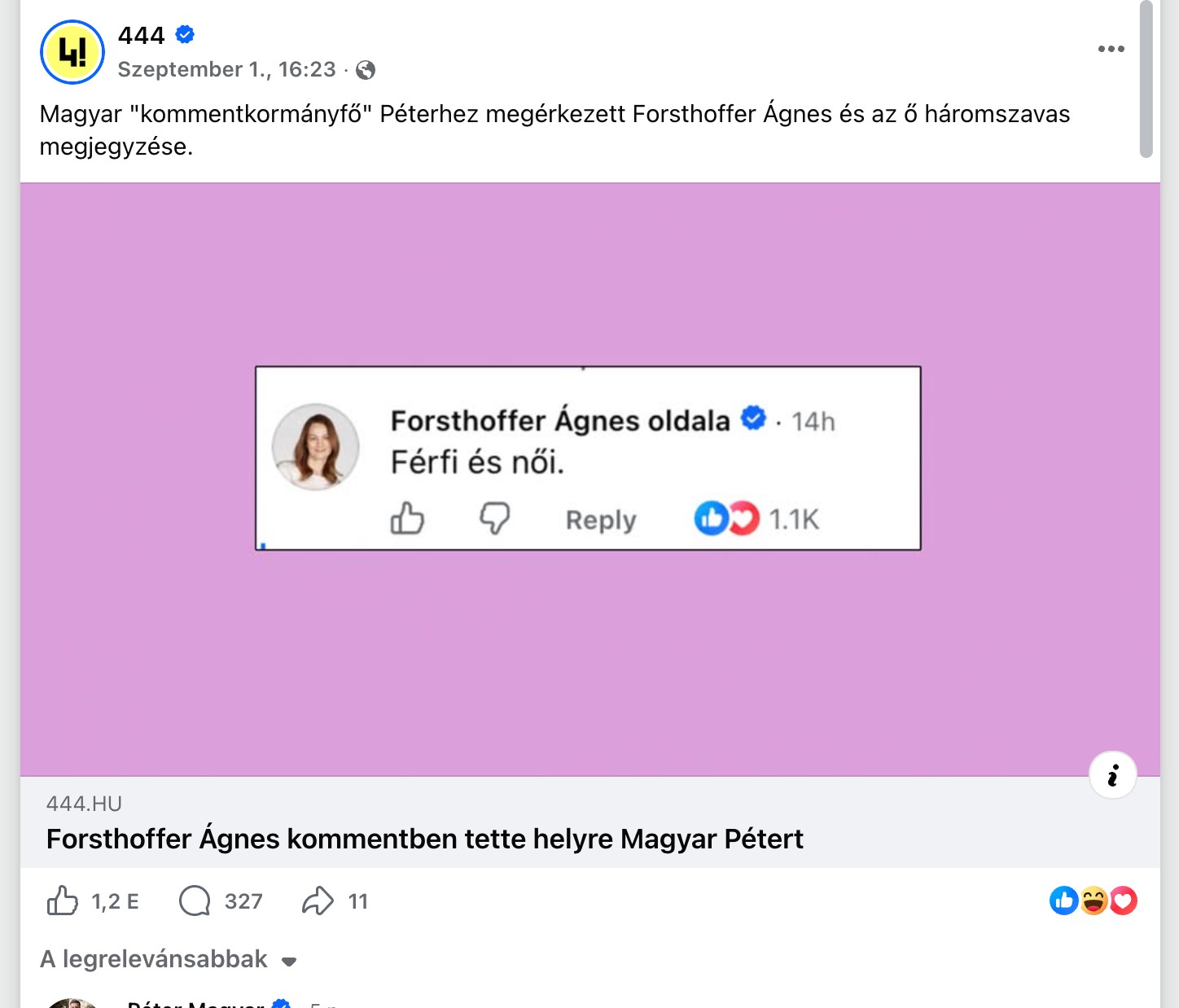 A bejegyzés képernyőképe